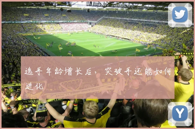选手年龄增长后，突破手还能如何进化