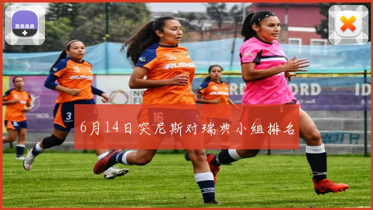 6月14日突尼斯对瑞典小组排名