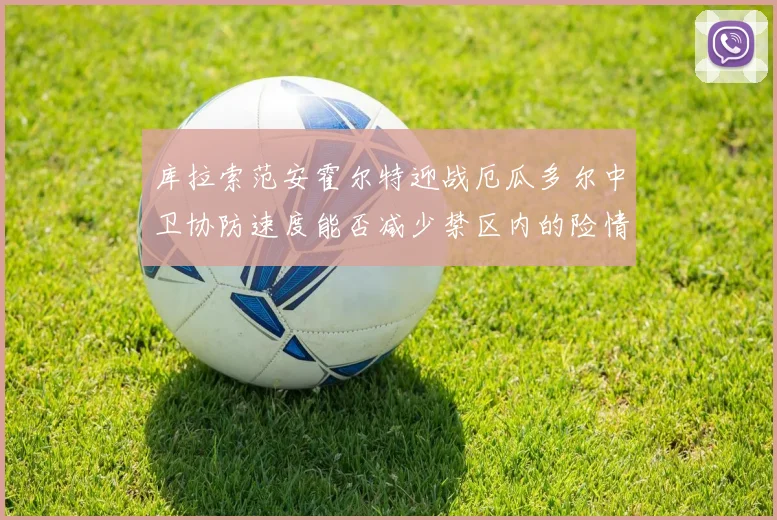 库拉索范安霍尔特迎战厄瓜多尔中卫协防速度能否减少禁区内的险情